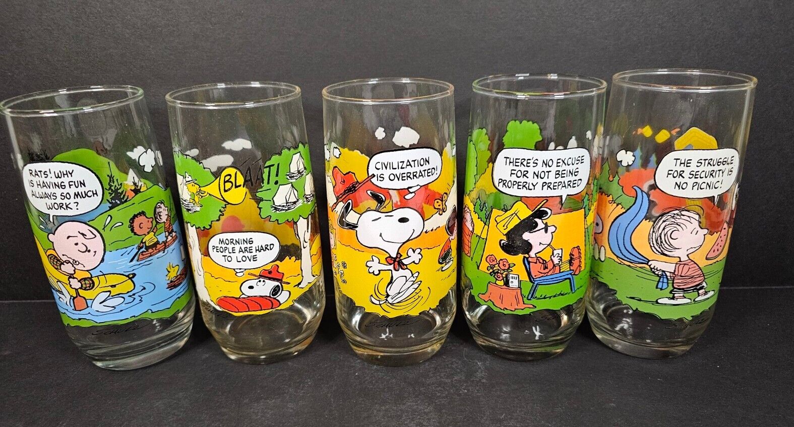 Five Vintage Peanuts Camp Snoopy Glasses McDonalds Full Set of 5   1980's 