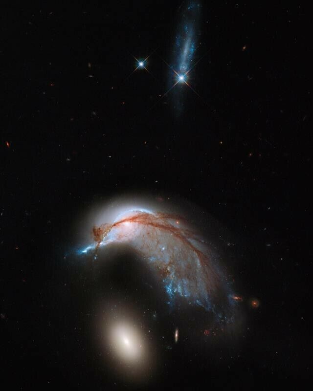 Hubble Image Of Arp 142 8x10 Photo Print 29012006184