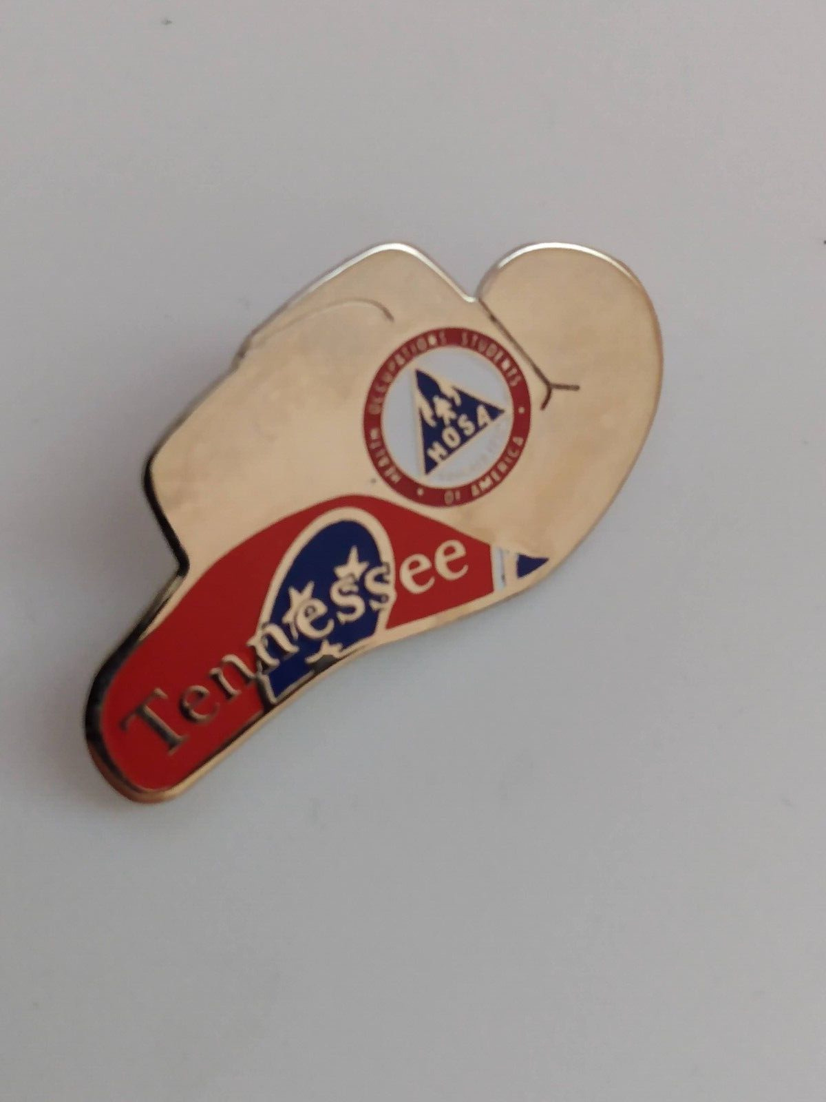 Tennessee Health Occupations Students of America HOSA Lapel Pin