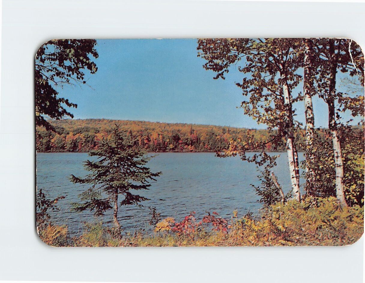 Postcard Land O Lakes Vacationland Scene Greetings from Pellston Michigan USA