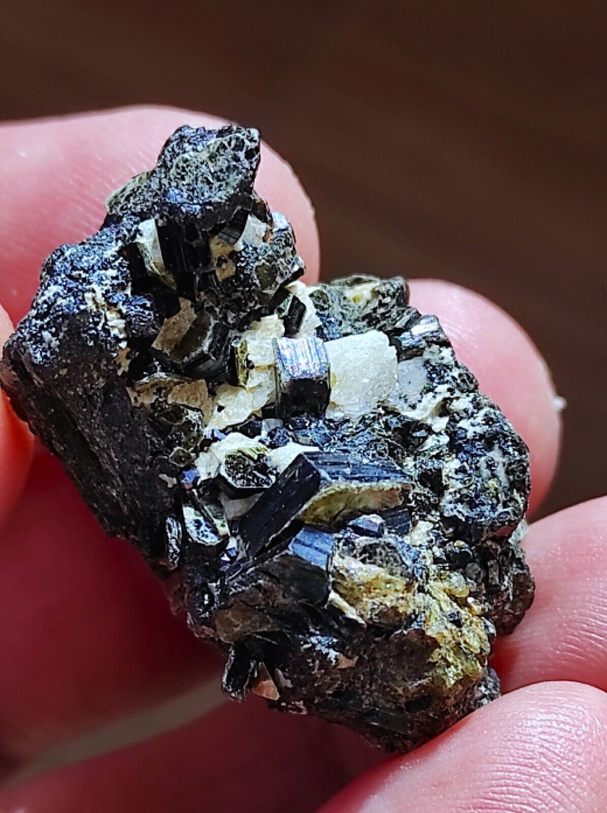 Amazing Very Rare Black Perovskite(Knopite) crystal with Green Phlogopite 