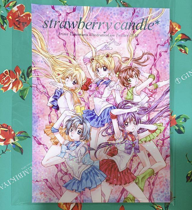 Doujinshi Tanemura Arina  Sailor moon etc Art book  strawberry candle Japan Used
