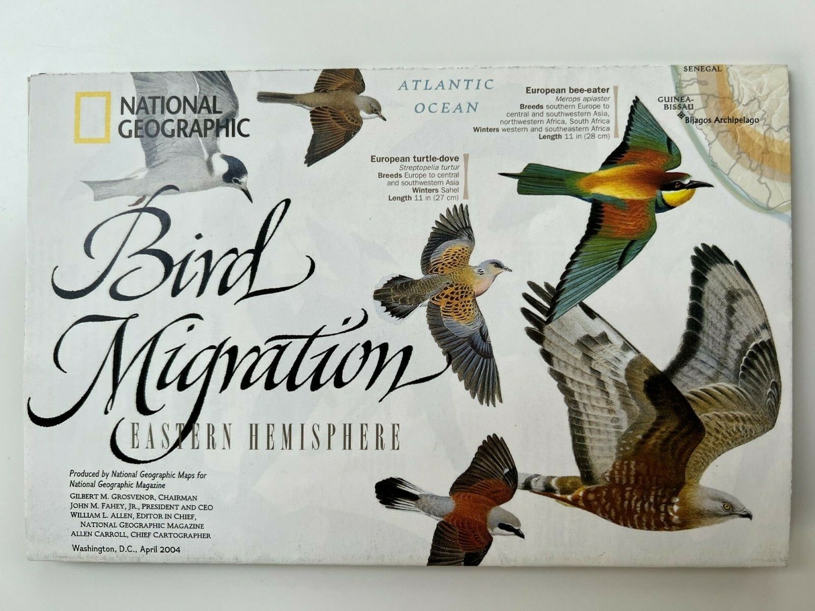 National Geographic Map Poster 2004 - Bird Migration East & West Hemispheres
