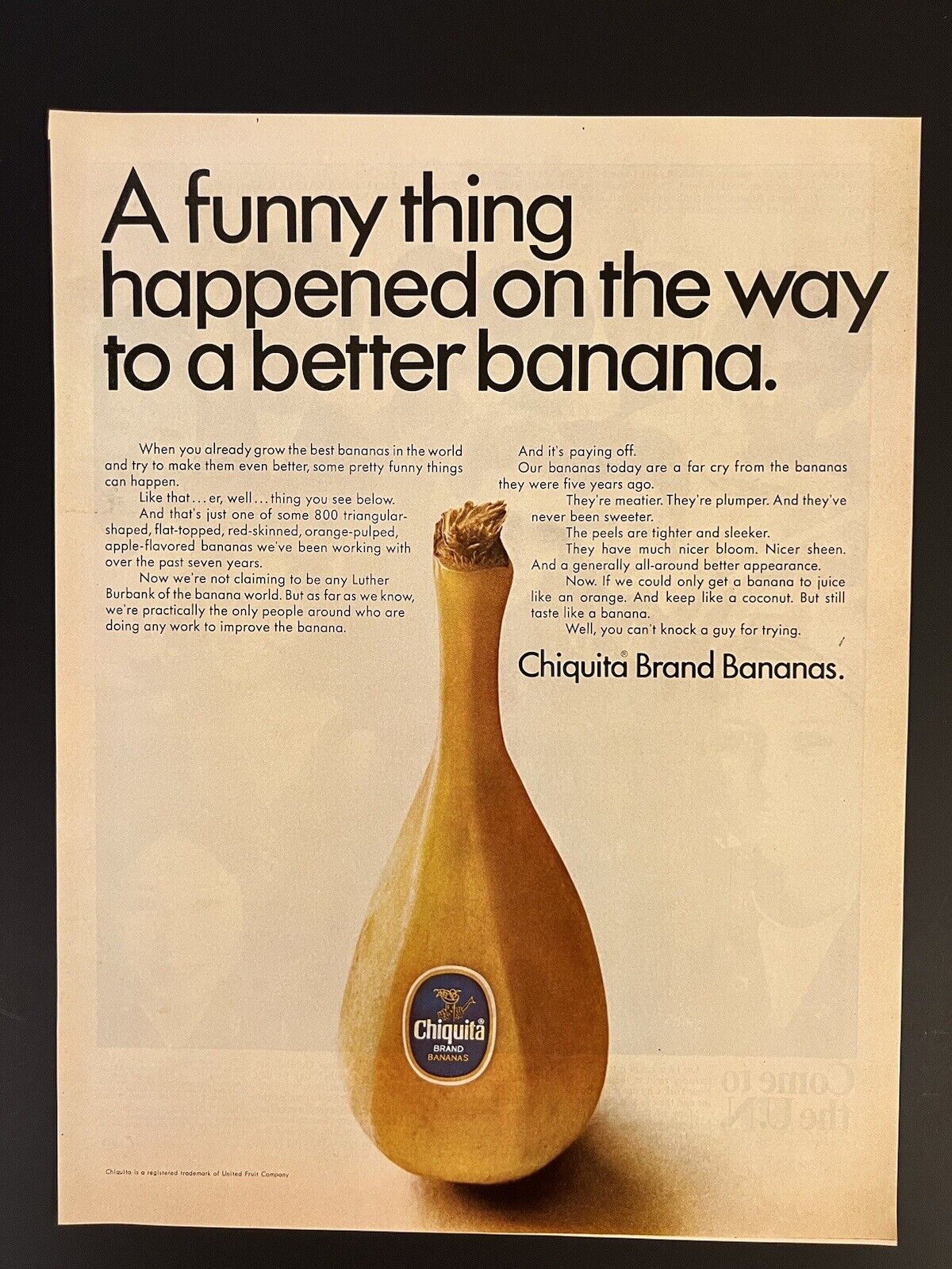 Chiquita Bananas 1968 Life Print Add “Funny Thing”