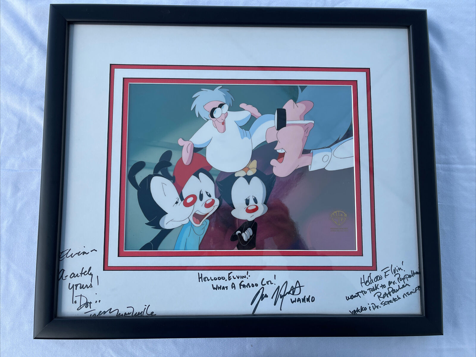 Animaniacs Yakko, Wakko, Dot Original Production Cel  1994 Signed Framed COA
