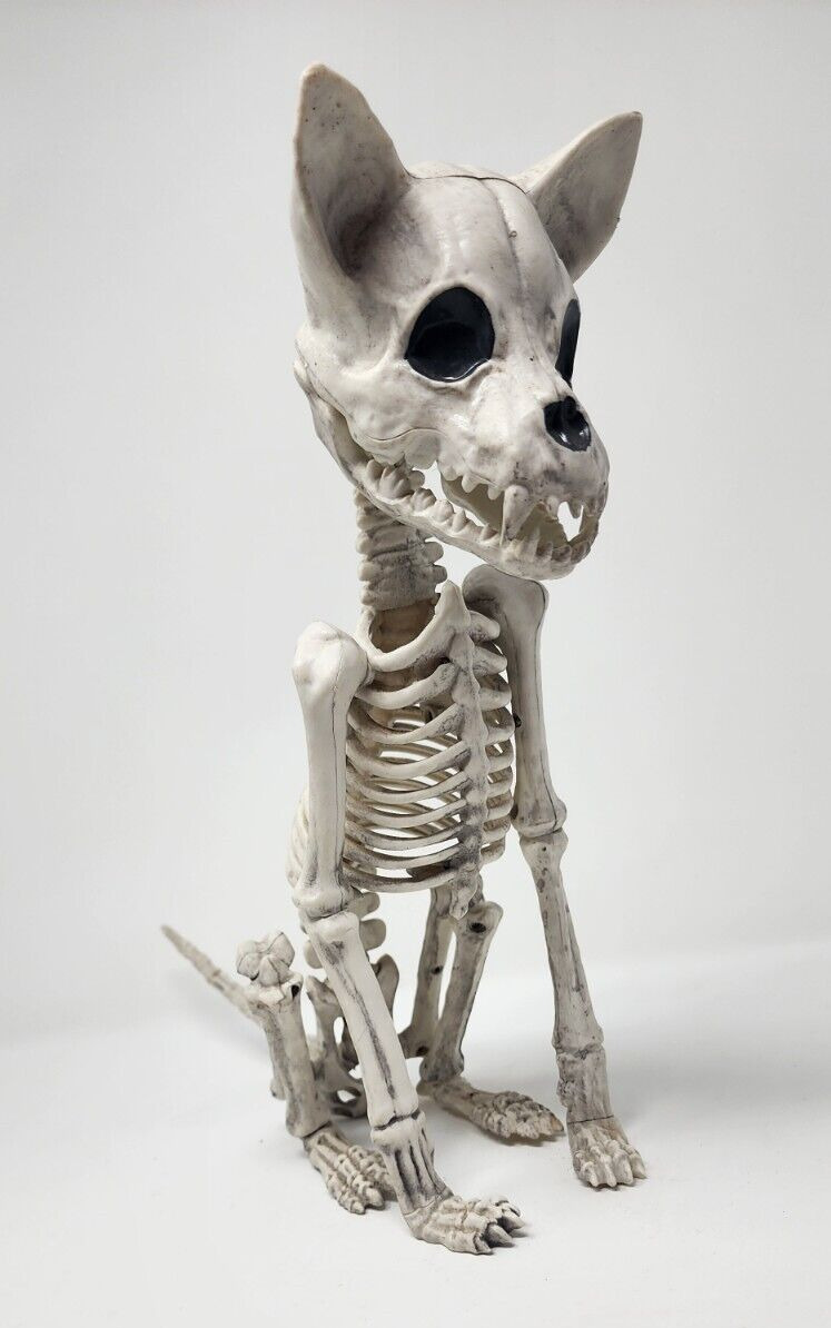 Halloween Faux Cat Skeleton Prop Sitting plastic MOVEABLE  12