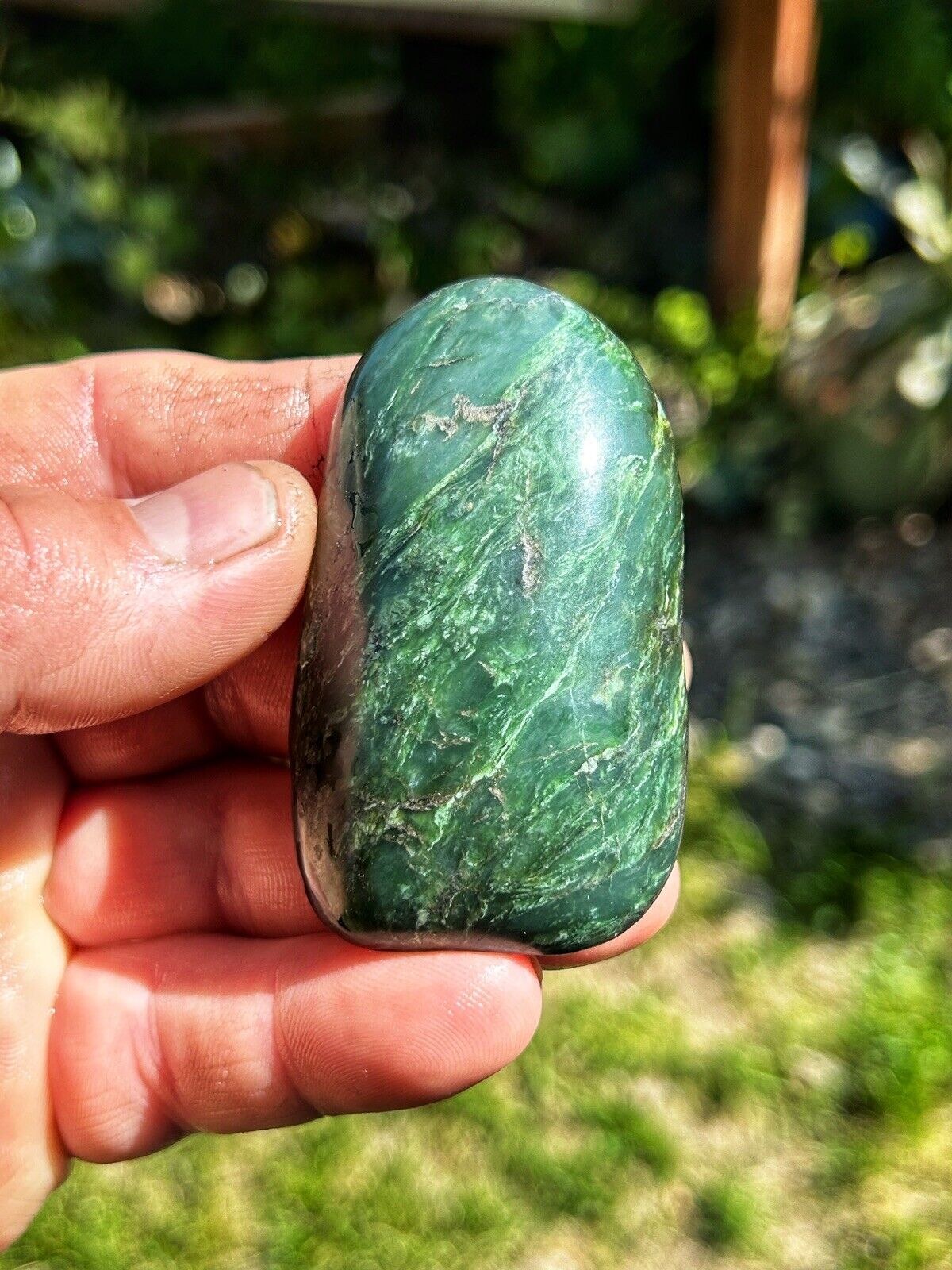 Big Sur Bright Green Chromium Nephrite Jade Palm Stone Polished 