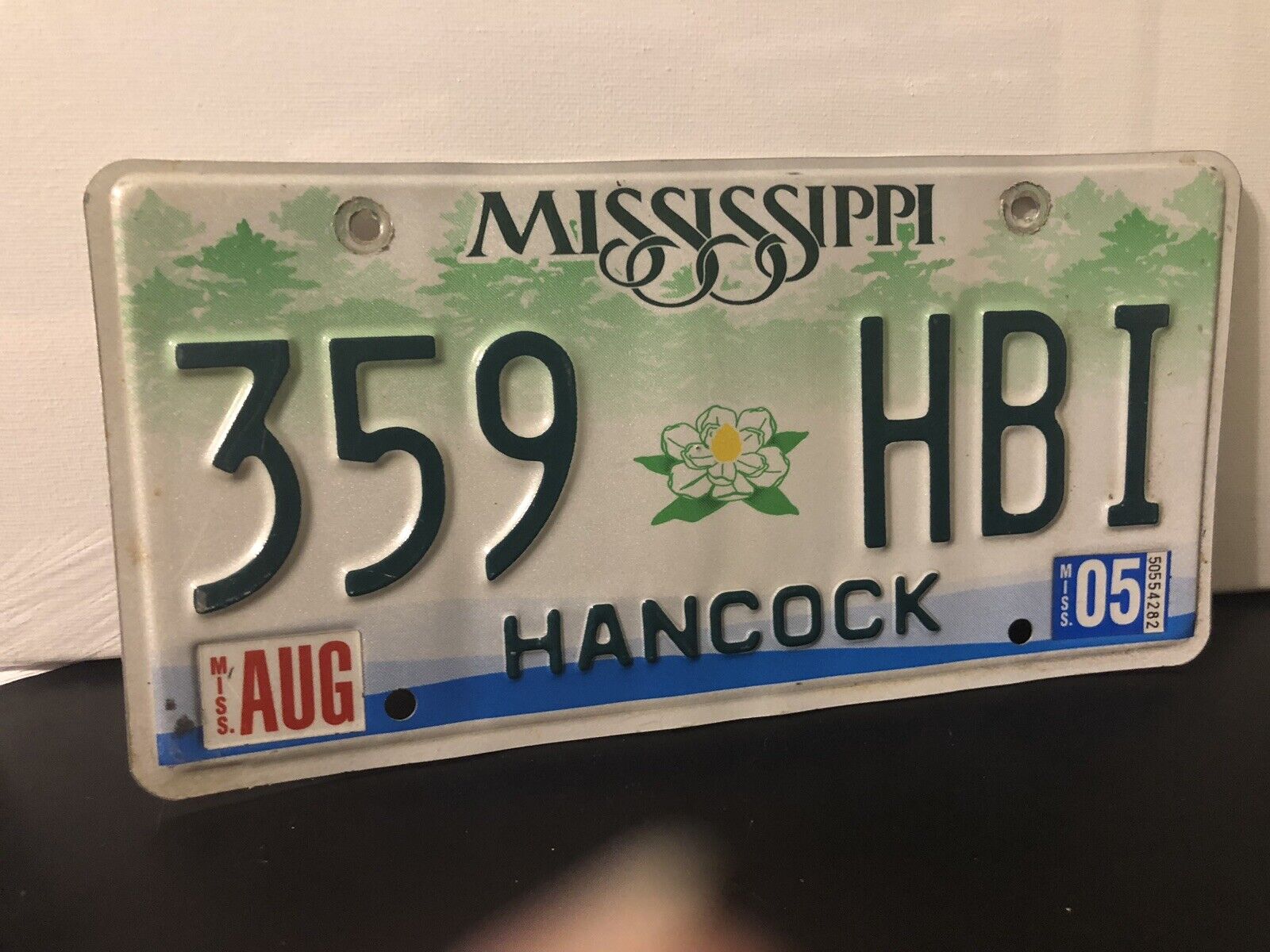 2005 Mississippi License Plate 359 HBI