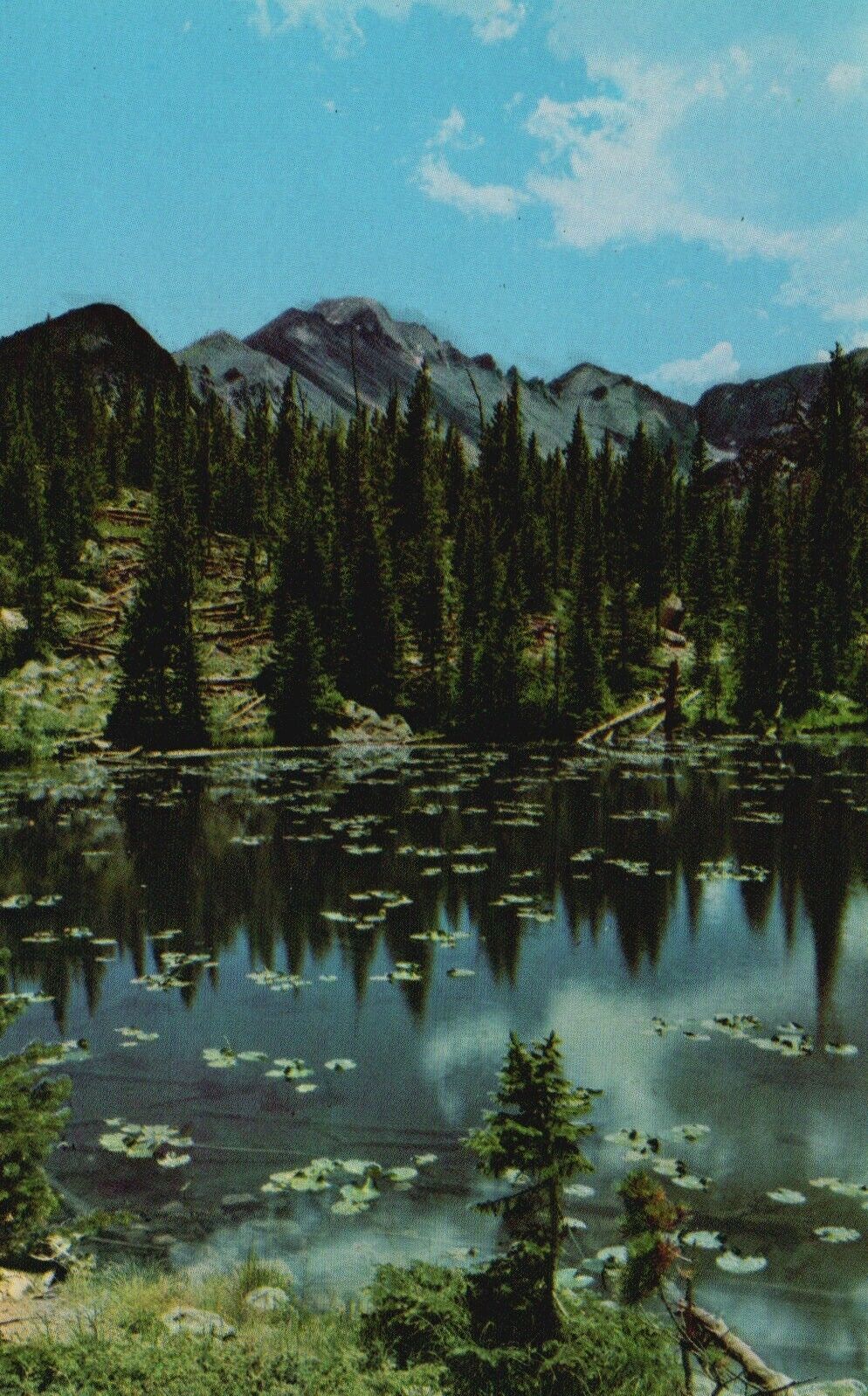 Nymph Lake, Long's Peak & Glacier Gorge, CO, 1955 Chrome Vintage Postcard b6365
