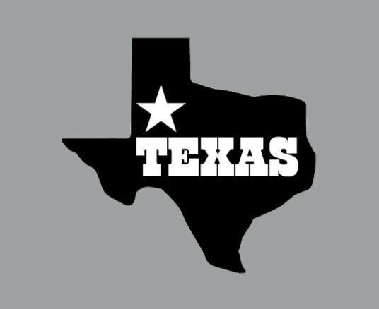Texas State Die Cut Glossy Fridge Magnet