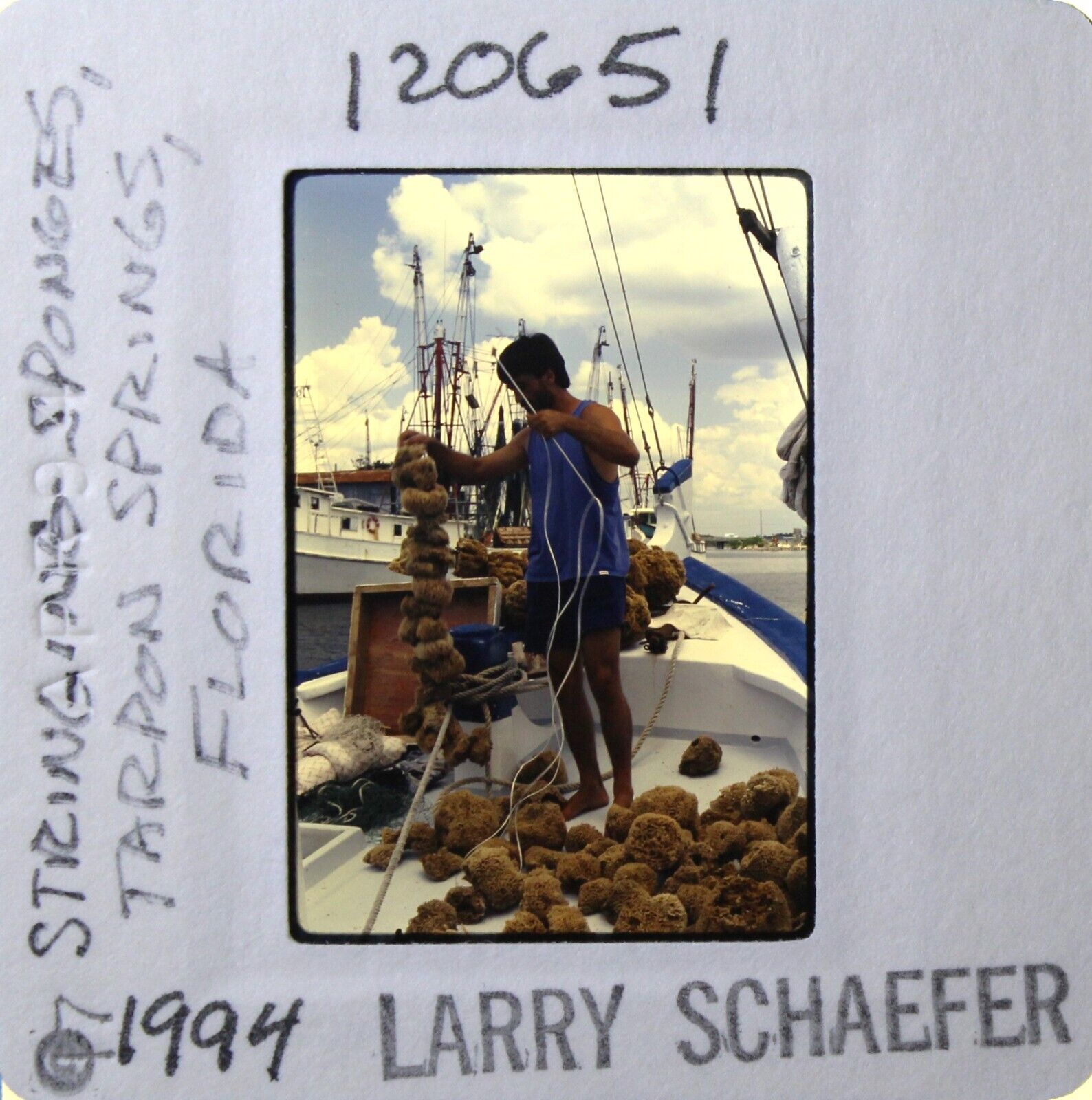 35 MM KODACHROME SLIDE, TARPON SPRINGS FLORIDA, SPONGE FISHING 1994