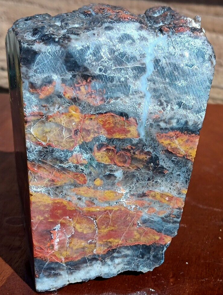 Volcanic Petrified Wood Limb Cast Cube Vivid Colors Quartz Vein Display 1Lb 11oz