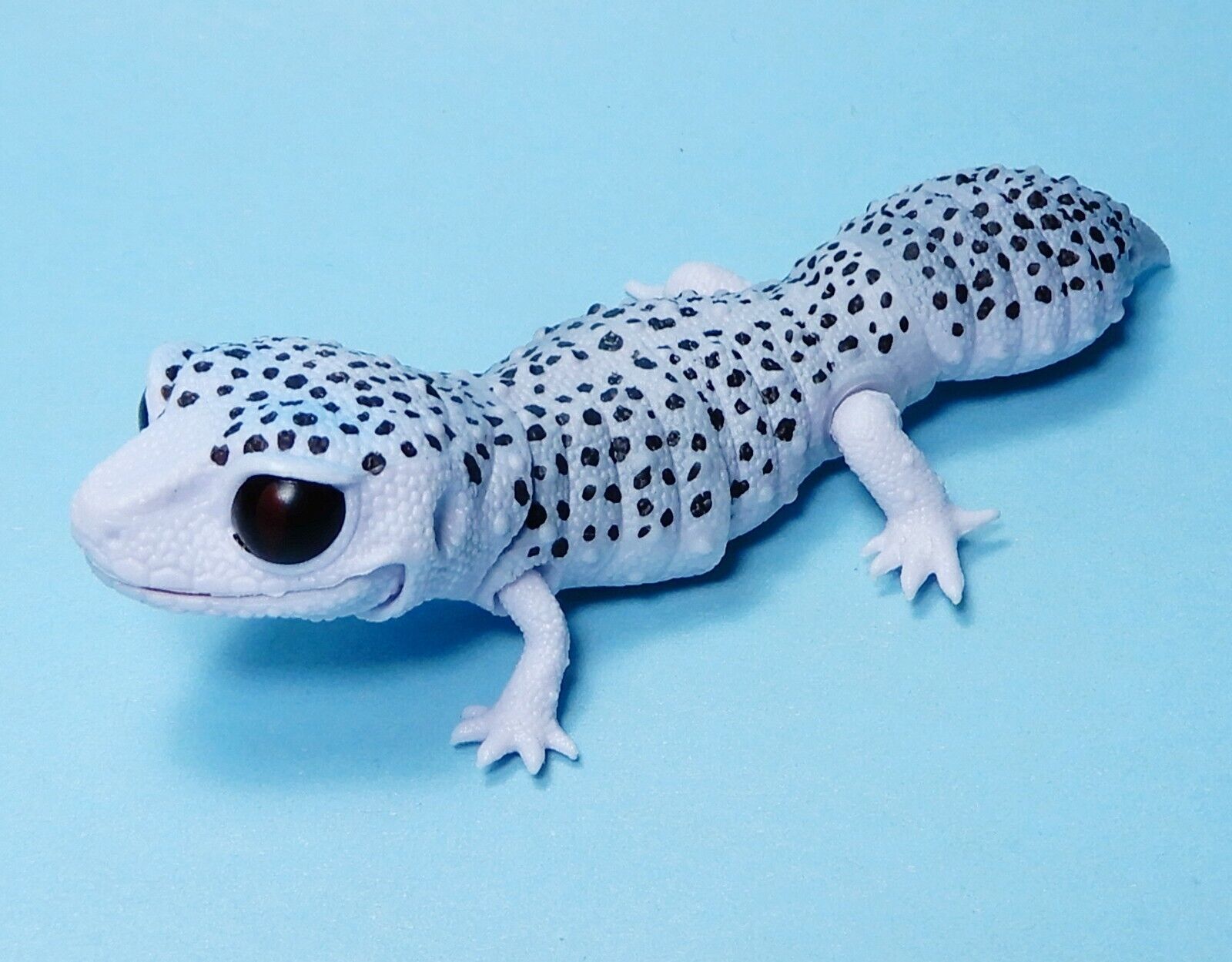 Bandai The Diversity of Life on Earth Leopard gecko Galaxy US seller figure new