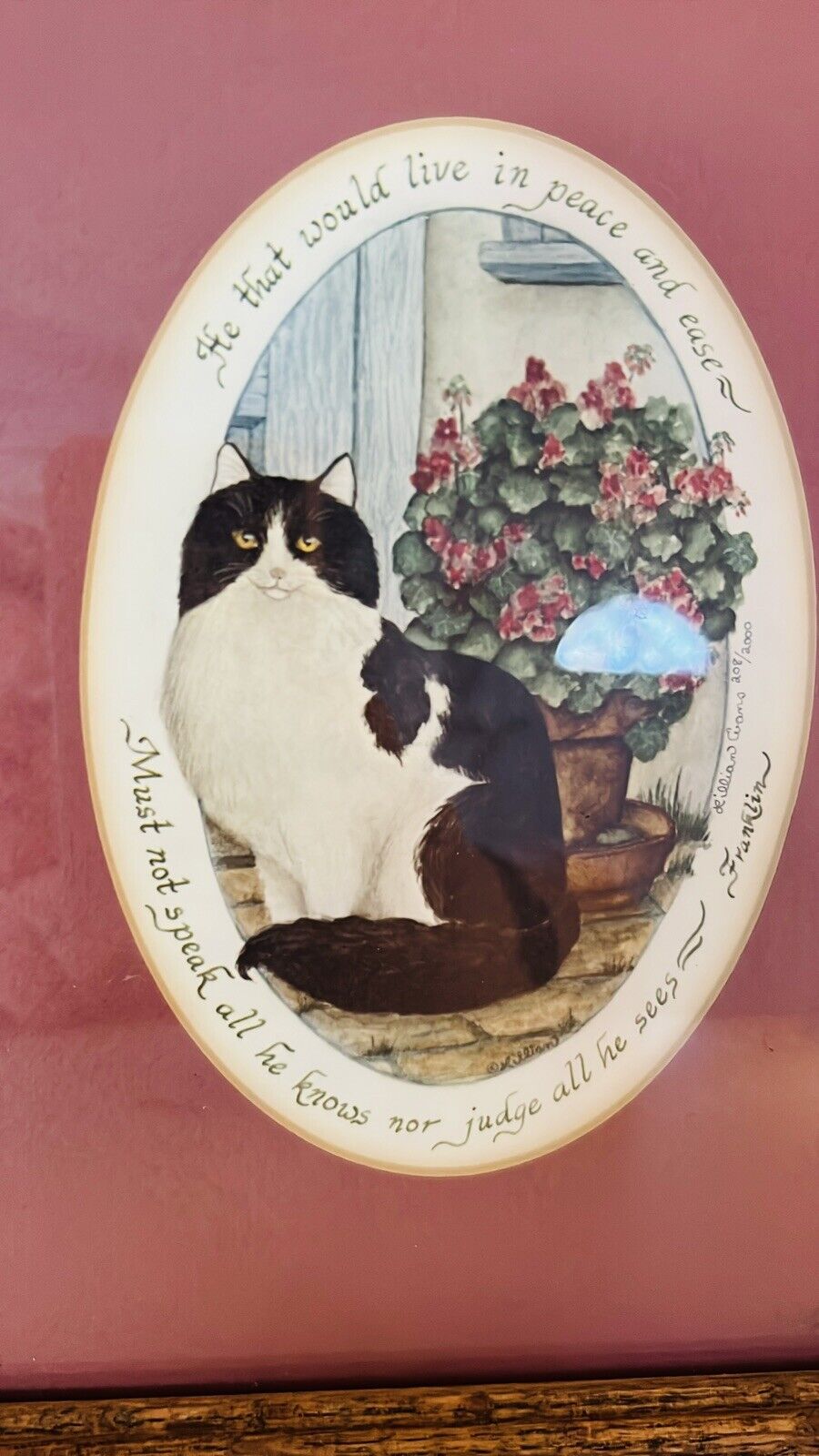 Vintage Framed Cat Picture
