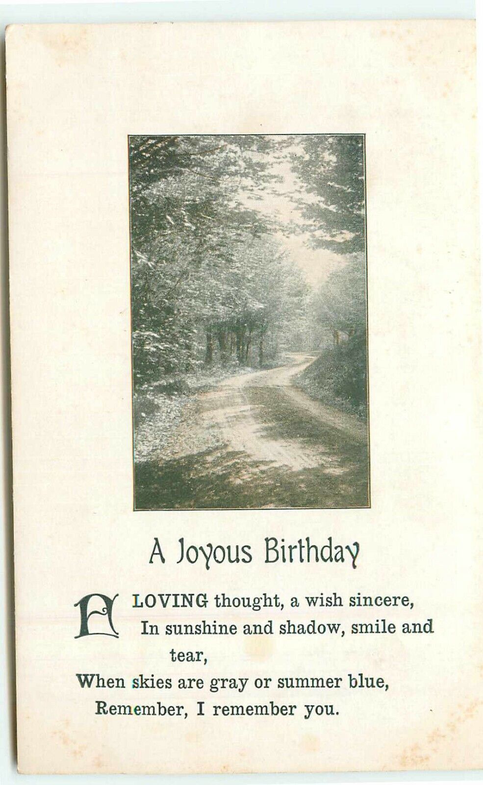 Postcard Birthday Greeting used  PC1903