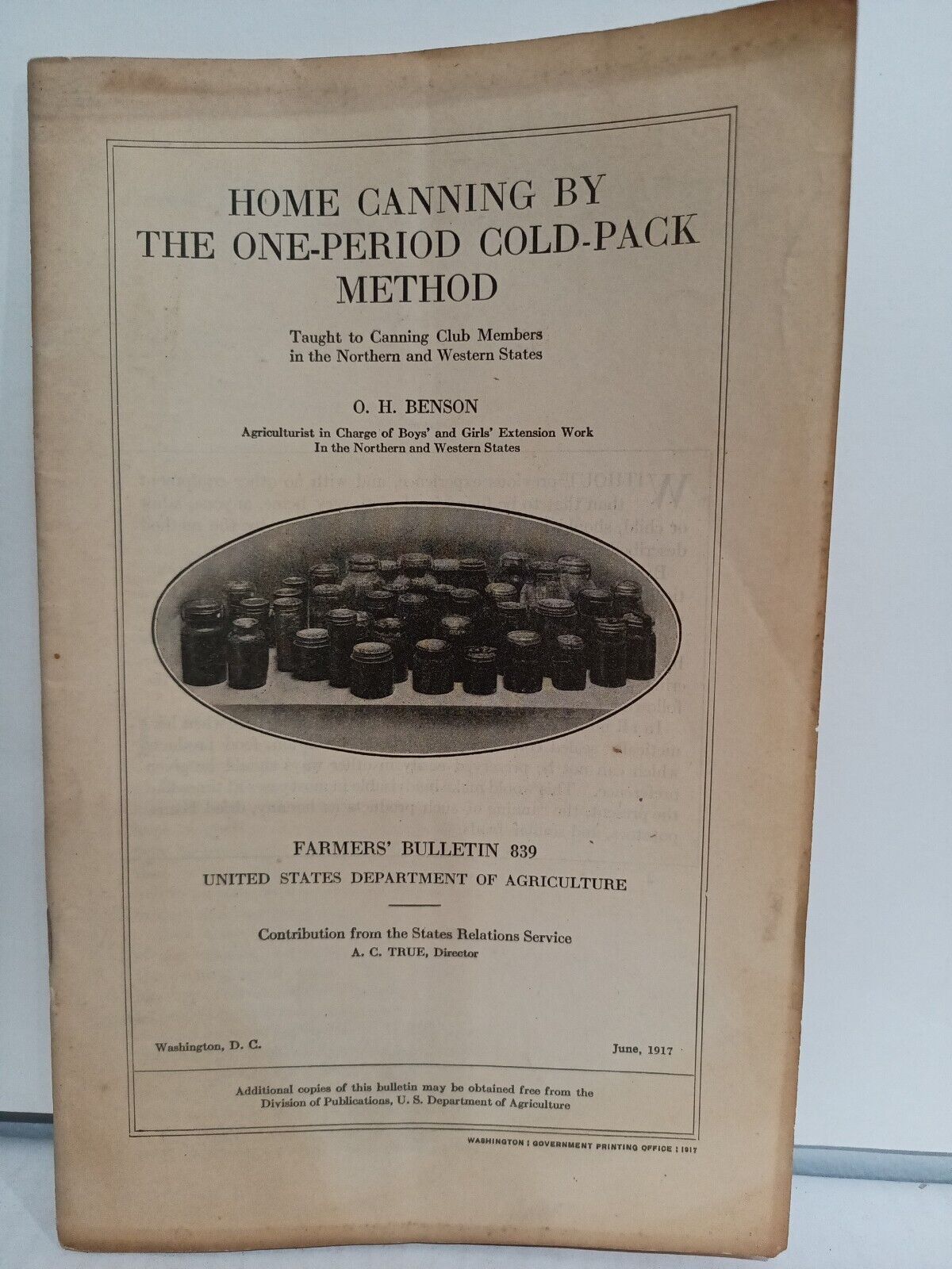 1917 Home Canning One Period Cold Pack Method Booklet US Dept. Agriculture WTJ