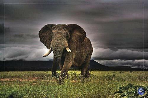 African Majesty, Save Our Planet (Elephant) Art Poster Print 36 x 24in