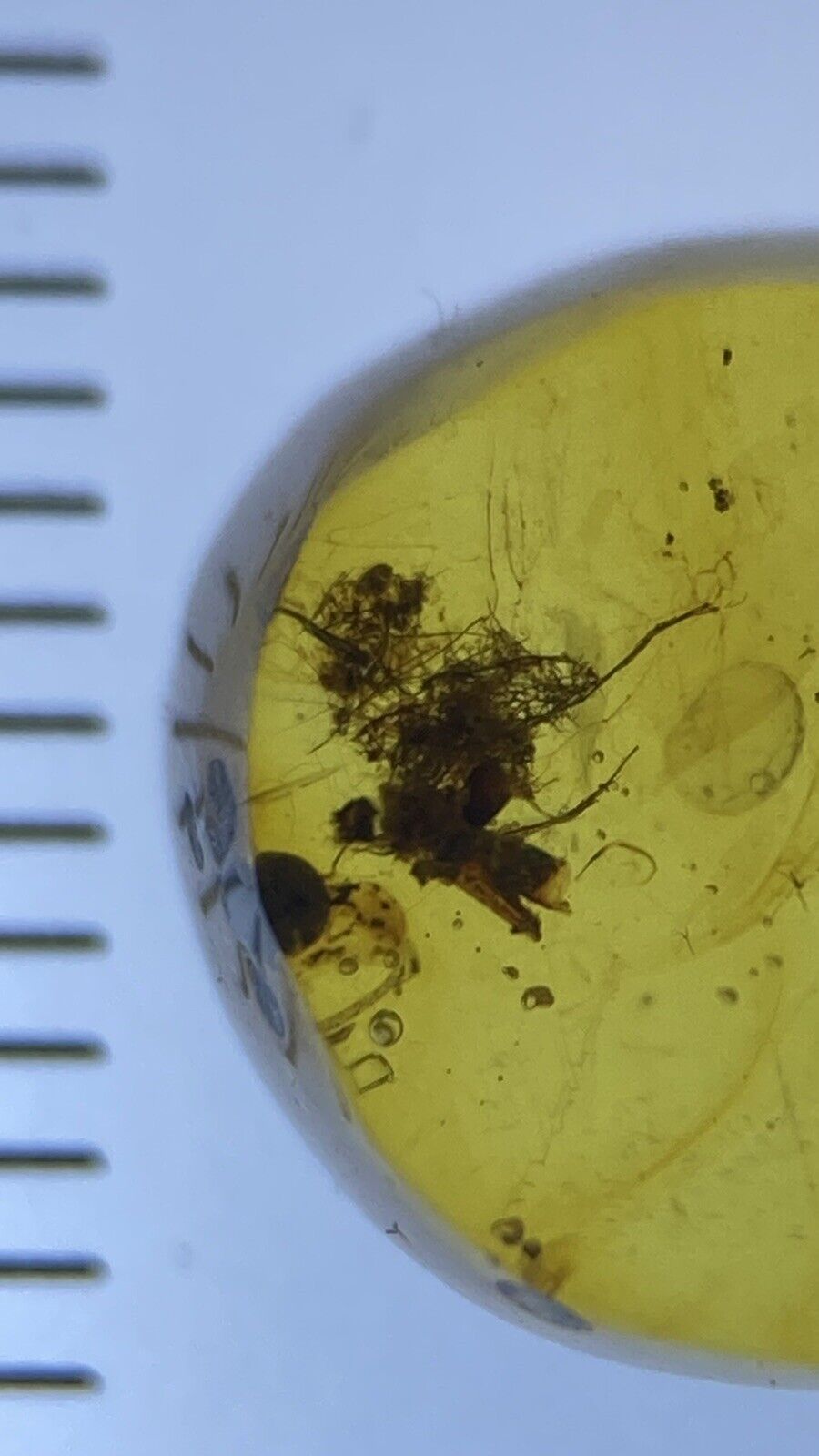 Unique Fibers / Cobweb Fossils In Cretaceous Genuine Burmite Amber, 98myo