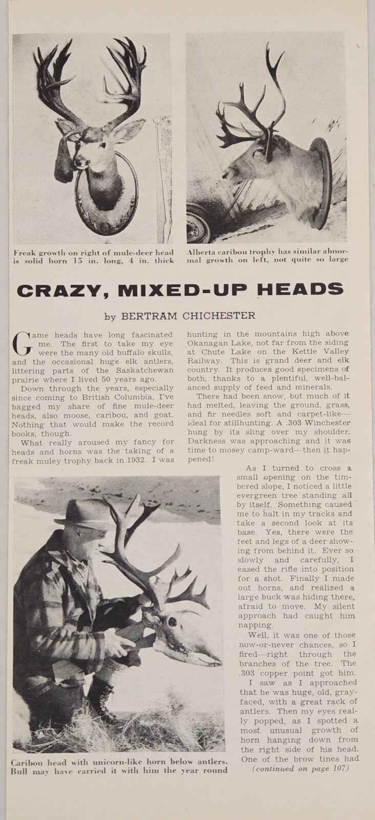 1956 Magazine Photos Game Head Mounts with Abnormal Freaky Horns,Antlers