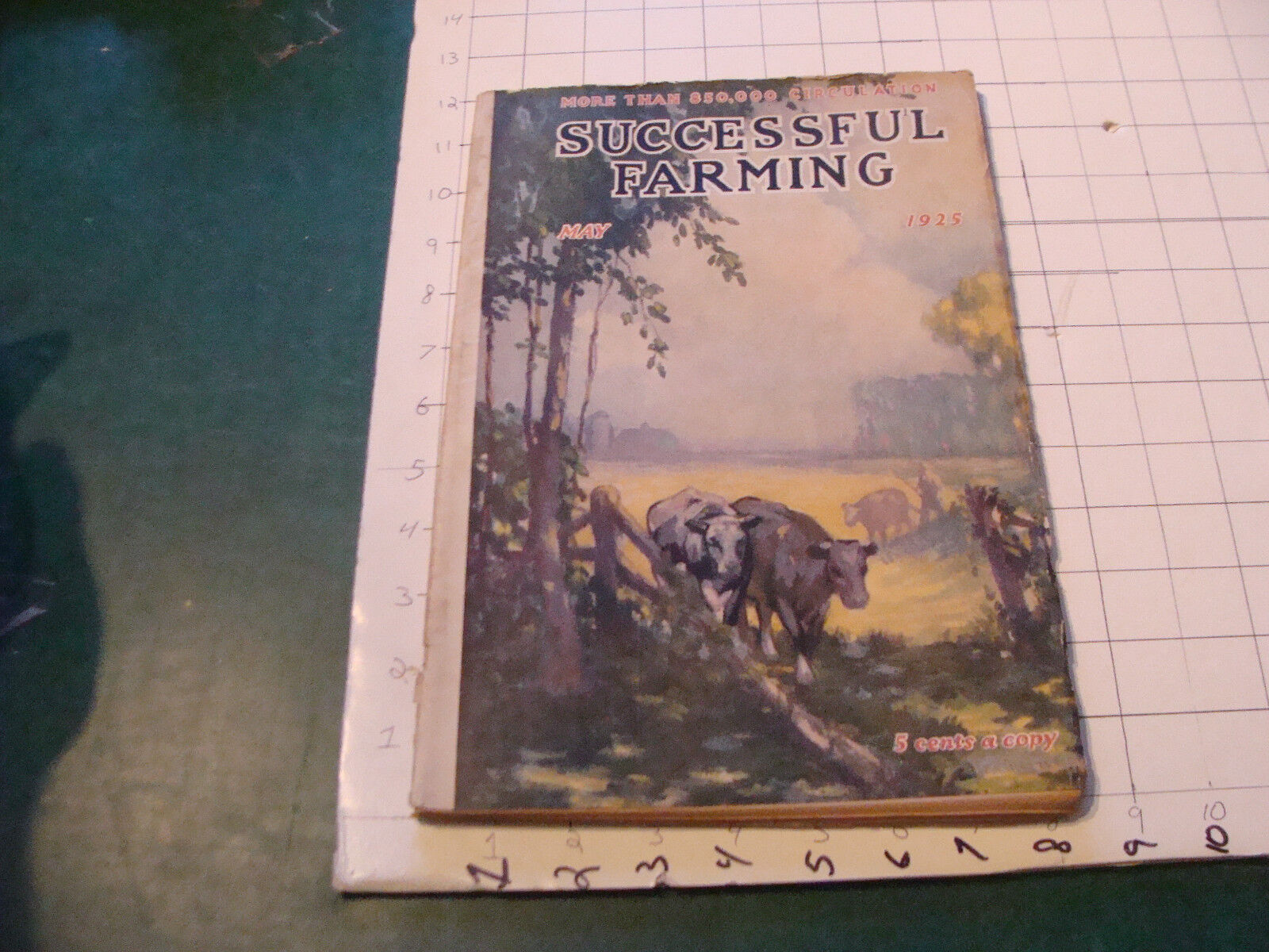 Check it out: SUCCESSFUL FARMING mag 1925 may COWS Cover