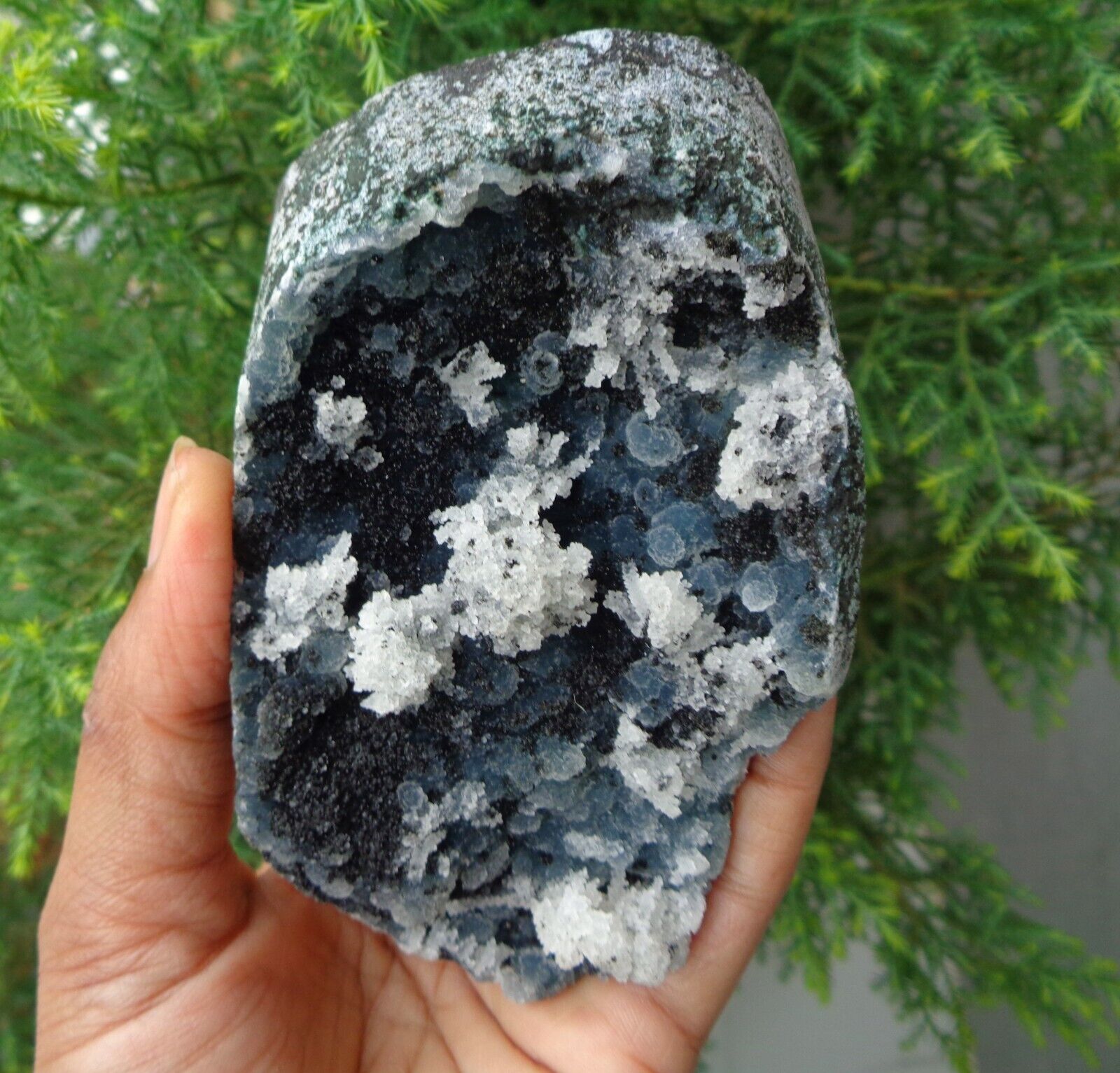 Milky , Blue CHALCEDONY Coral On Matrix Minerals Specimen #F16