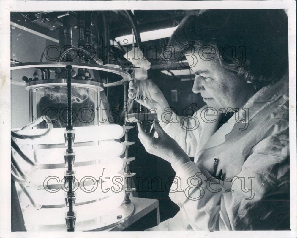1966 Algae Fermenter US Army Laboratory Natick MA Press Photo
