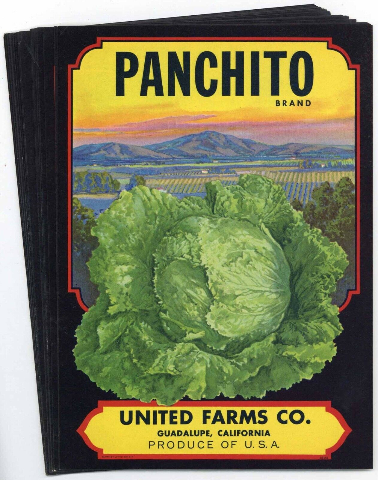 25 Panchito Brand Guadalupe California Vegetable Crate Labels, Wholesale