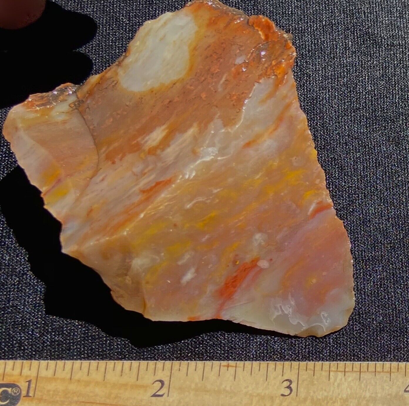 Petrified & Agatized Wood Big Colorful Shard Specimen 94 grams Arizona