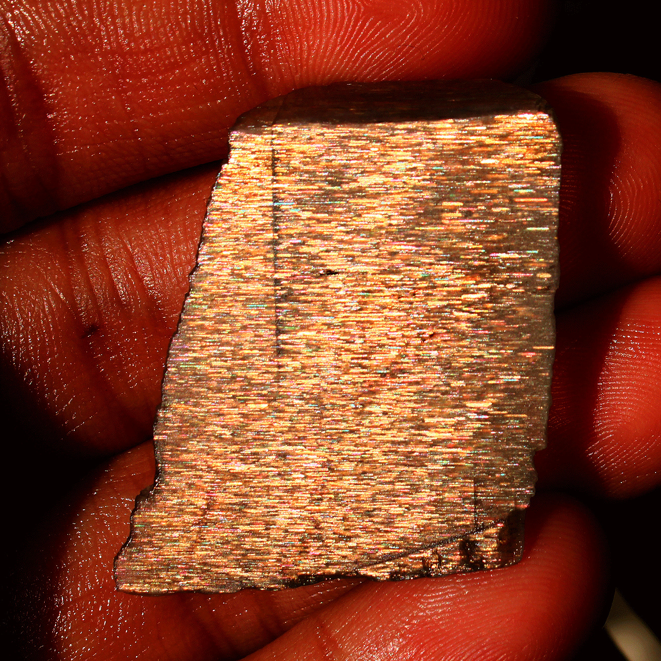 12.7g Natural Rainbow Fire Lattice Sunstone Raw Crystal Slice Rare Specimen Slab