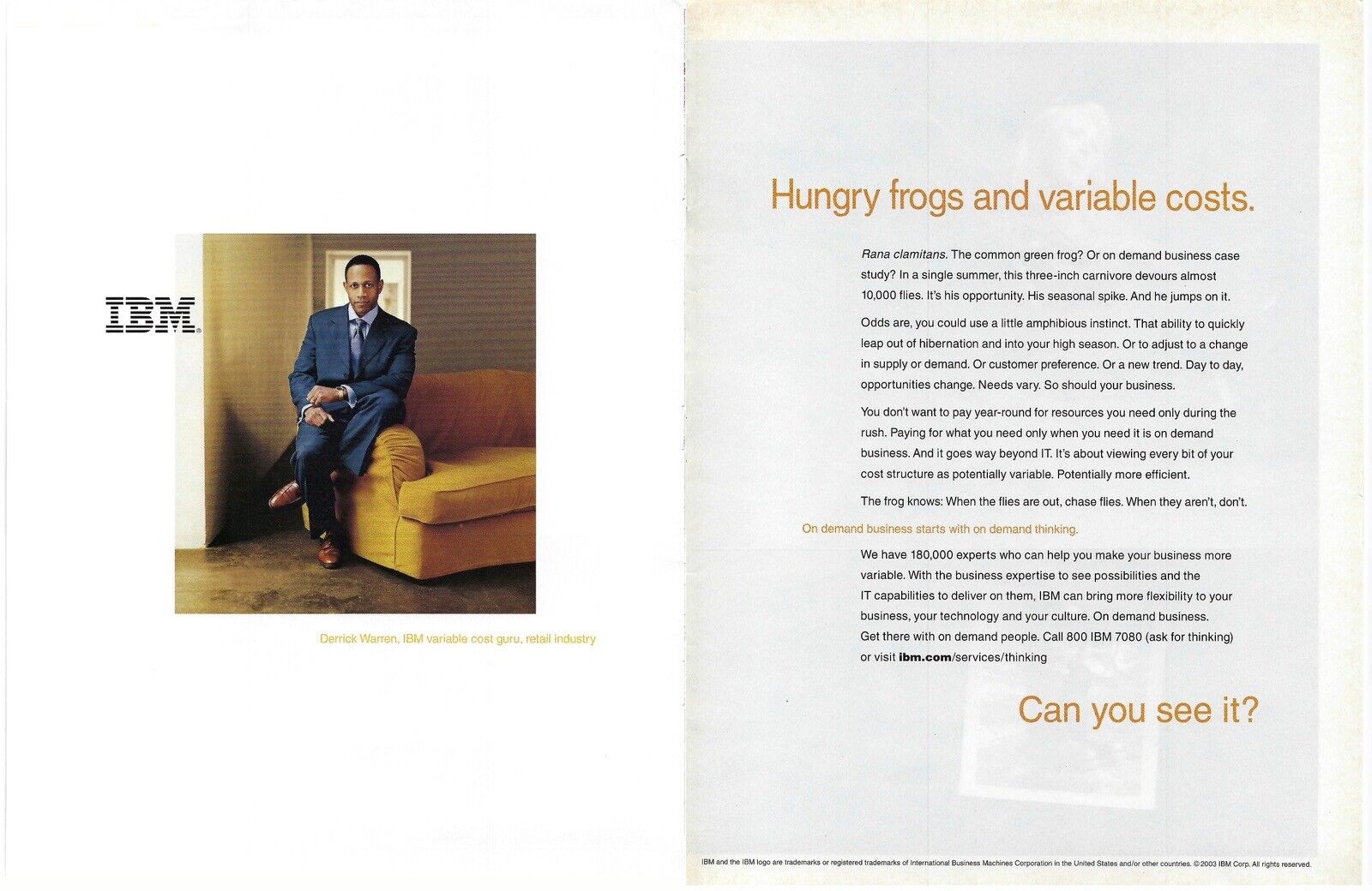 2003 IBM Hungry Frogs and Variable Costs On Demand Vtg Magazine Print Ad/Poster