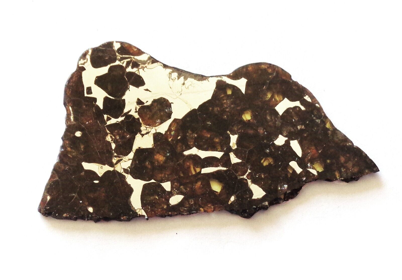 Meteorite Seymchan nice thin slice 25.0 grams, good transparent
