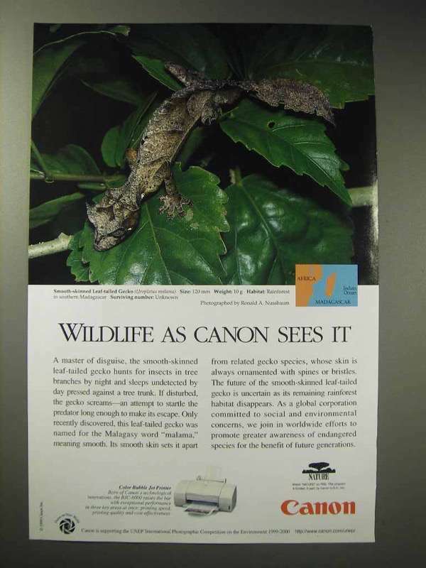 1999 Canon Ad - Smooth-Skinned Leaf-Tailed Gecko