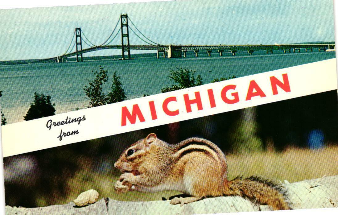 Greetings From Michigan - Chipmunk Postcard