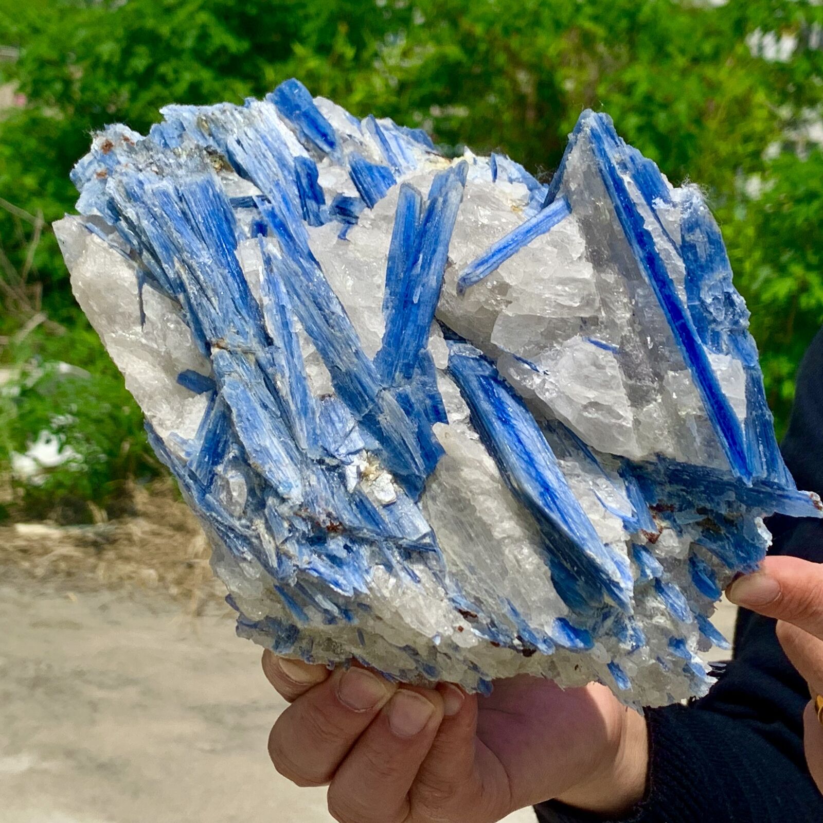 6.47LB Rare Natural beautiful Blue KYANITE with Quartz Crystal Specimen Rough