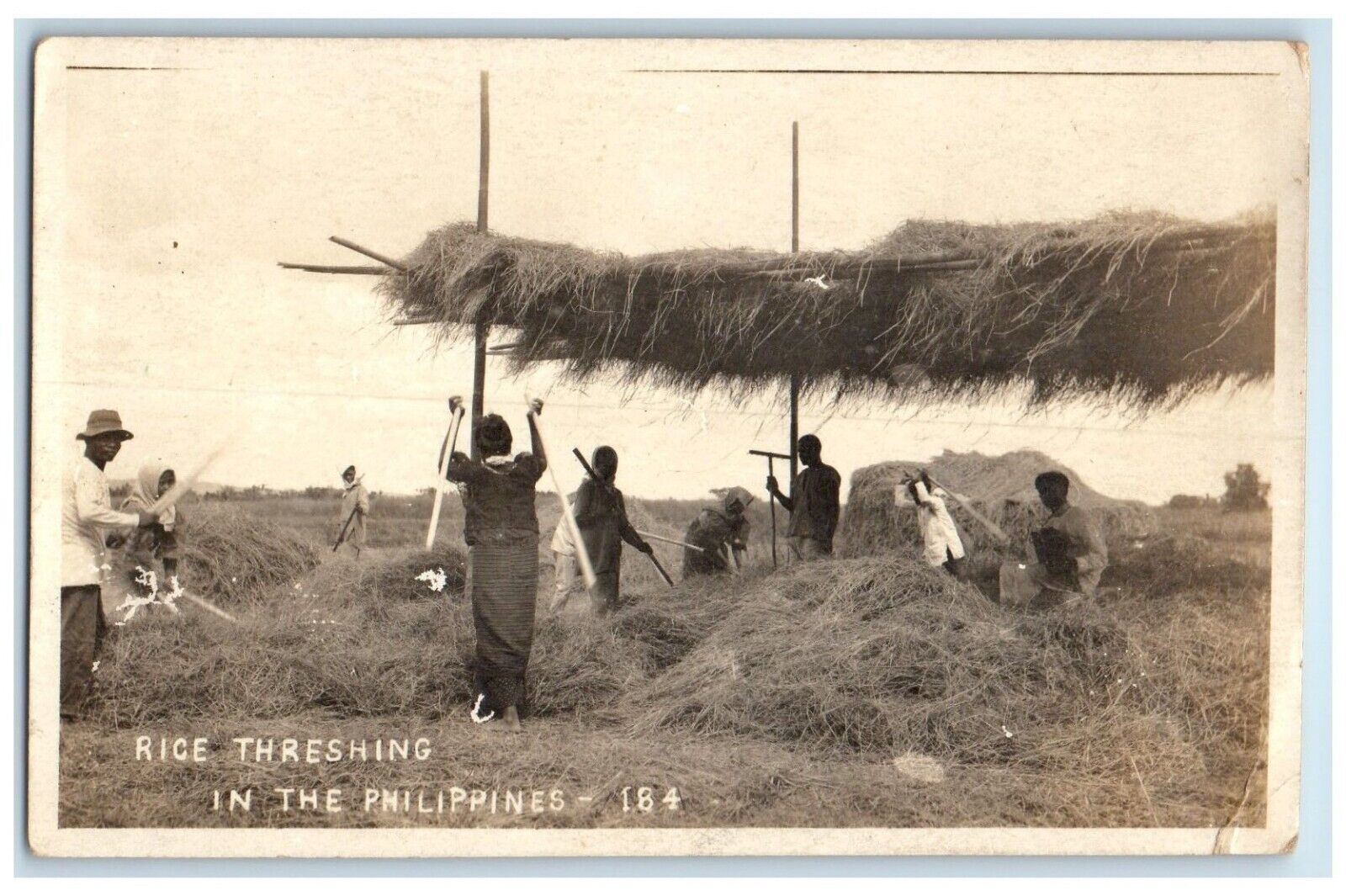 c1910's Rice Threshing In The Philippines Farmers Farming RPPC Photo Postcard