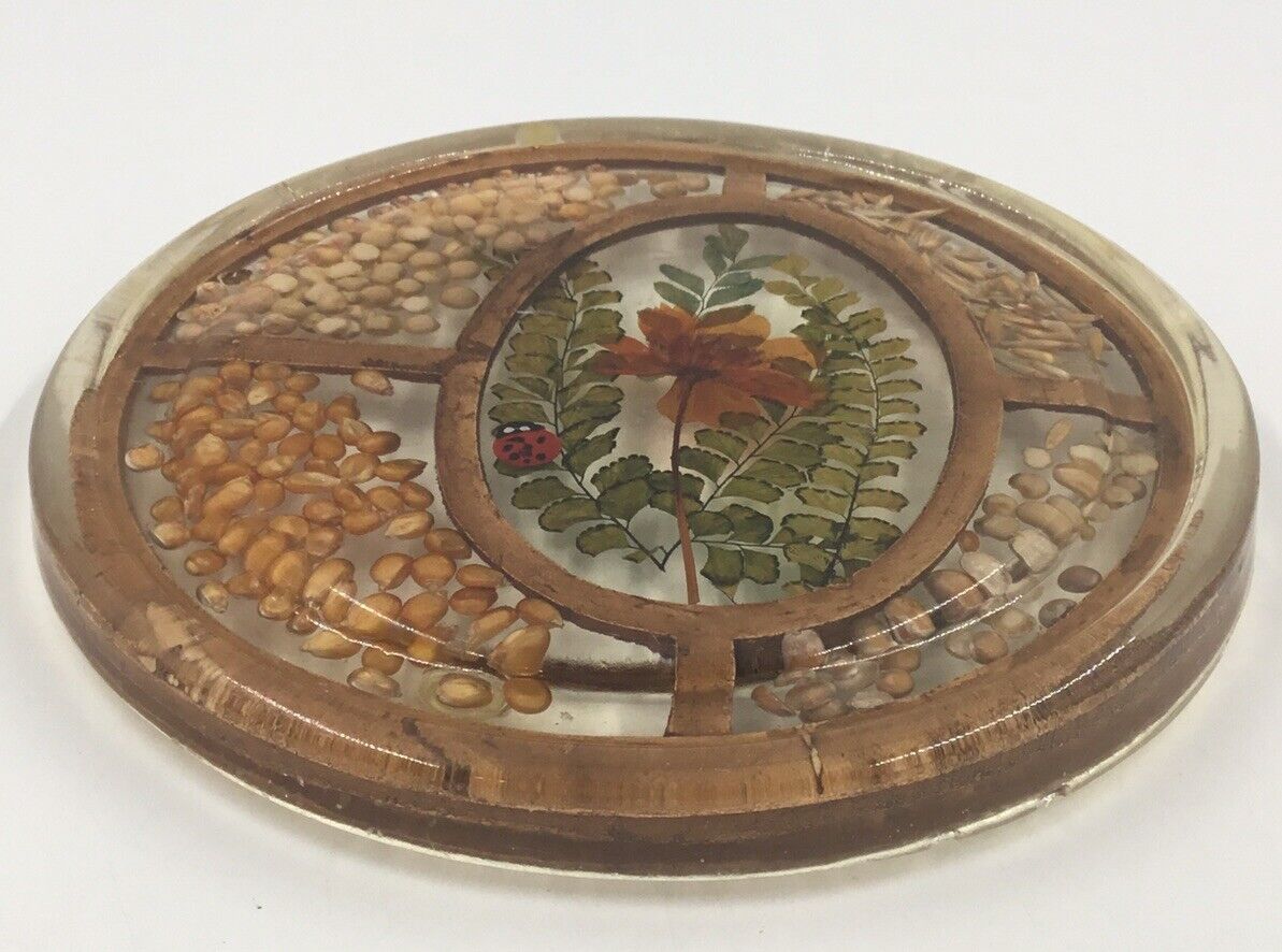 Vintage Approximately 7.5” Round Lucite Trivet/ Hot Plate With Flower Read