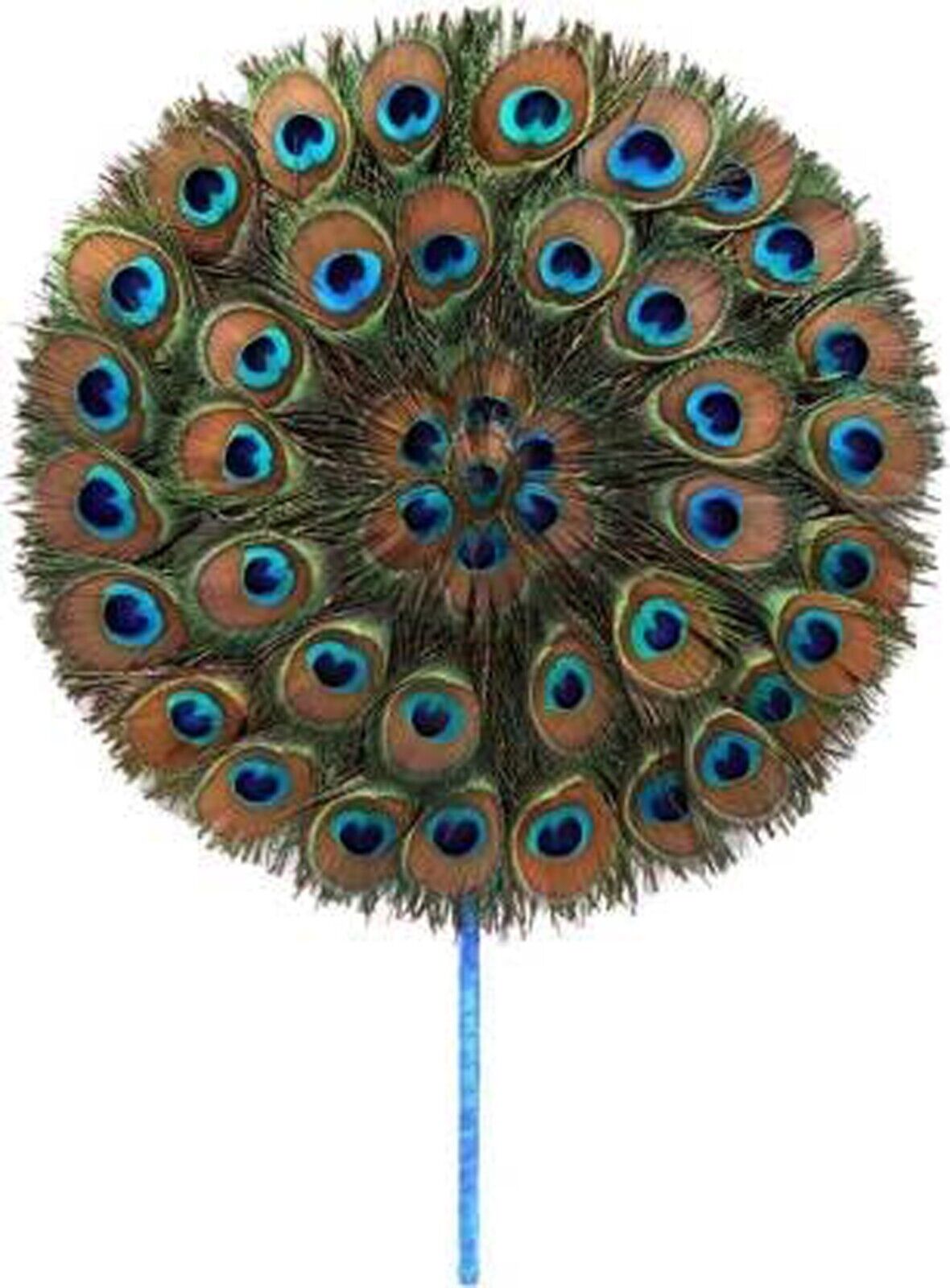 Pack of 1 Natural Peacock Feather Fan/Mor Pankh for Laddu Gopal/Thakur Ji/Kanha