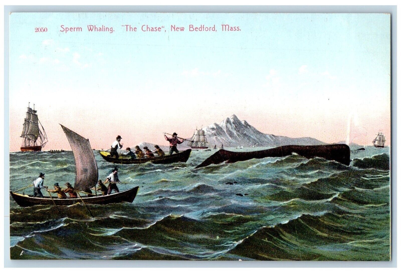 c1910 Sperm Whaling Chase Canoe Boat New Bedford Massachusetts Vintage Postcard