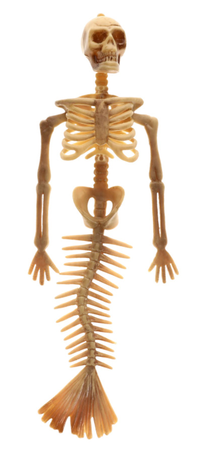 Plastic Skeleton Mermaid 14 inches Halloween Decor/Prop Party Decoration