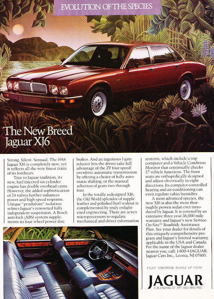 1988 Jaguar XJ6 - species - Classic Car Advertisement Print Ad J86