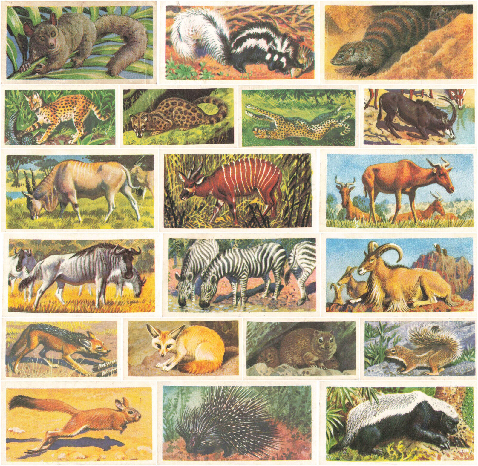 Brooke Bond Tea African Wild Life x 32 Cards In Very Good Condition