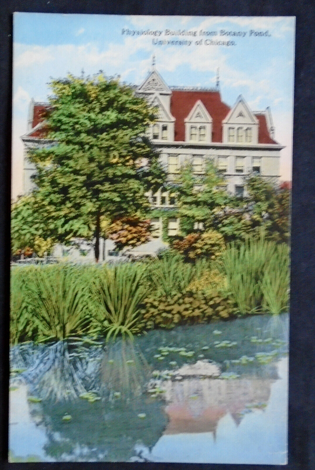 University of Chicago, Physiology Building from Botany Pond, circa 1910-20