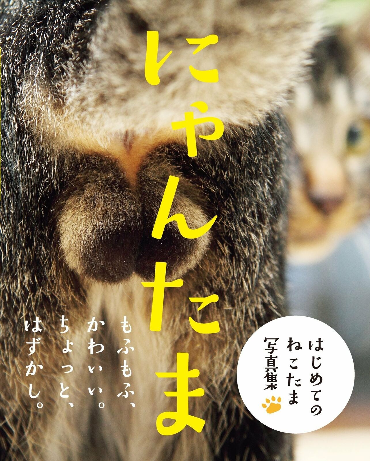 Nyantama Cat Testicles Animal Photo Book album nekotama Japan