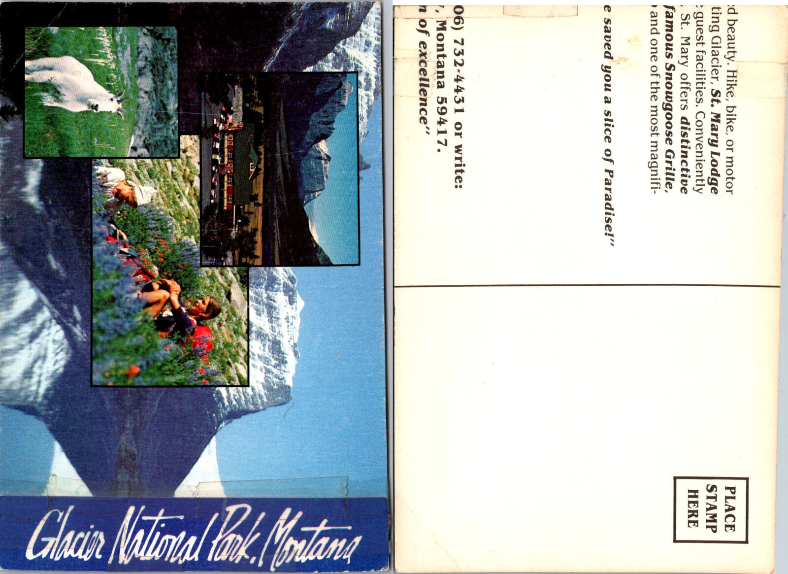 Vintage Montana Glacier National Park, MT Postcard Unused 50733