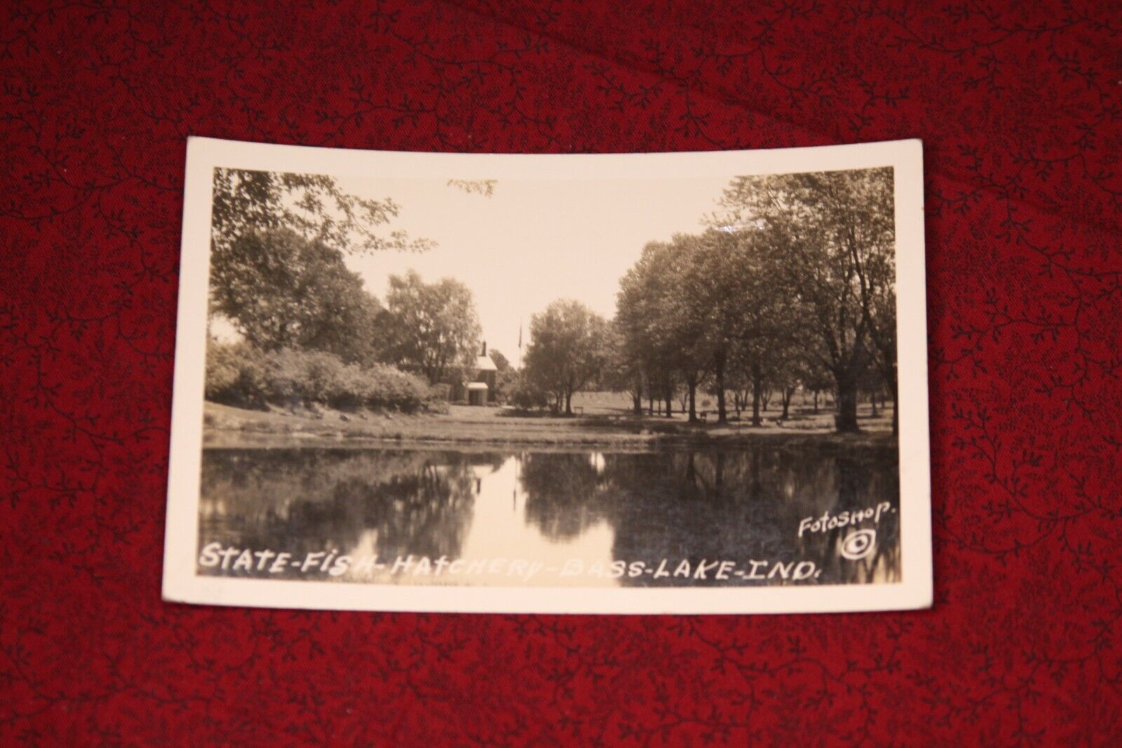 State Fish Hatchery, Bass Lake Indiana Postcard - Real Photo RPPC