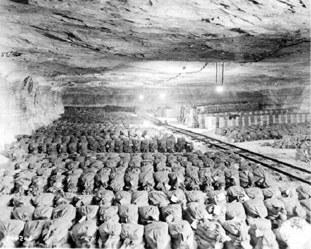 Discovered Reichsbank Wealth & SS Loot in German Salt Mind 8x10 WWII Photo 643a