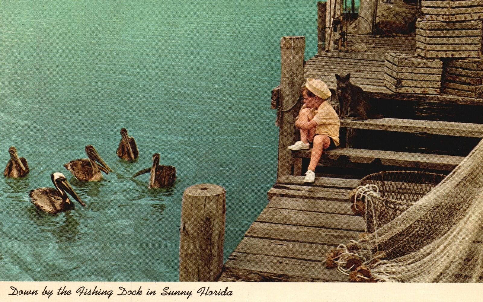 Florida-FL, Down By The Fishing Dock In Sunny Boy Watching Birds Old Postcard