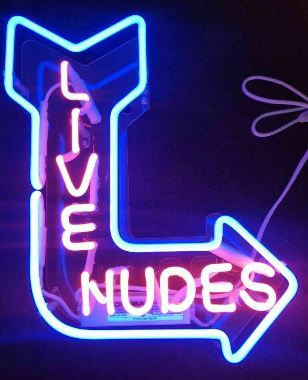 Live Nudes Arrow Pole Girl Neon Light Sign 14\