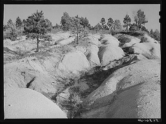 Soil erosion gullies on farm in Caswell County,North Carolina,NC,October 1940