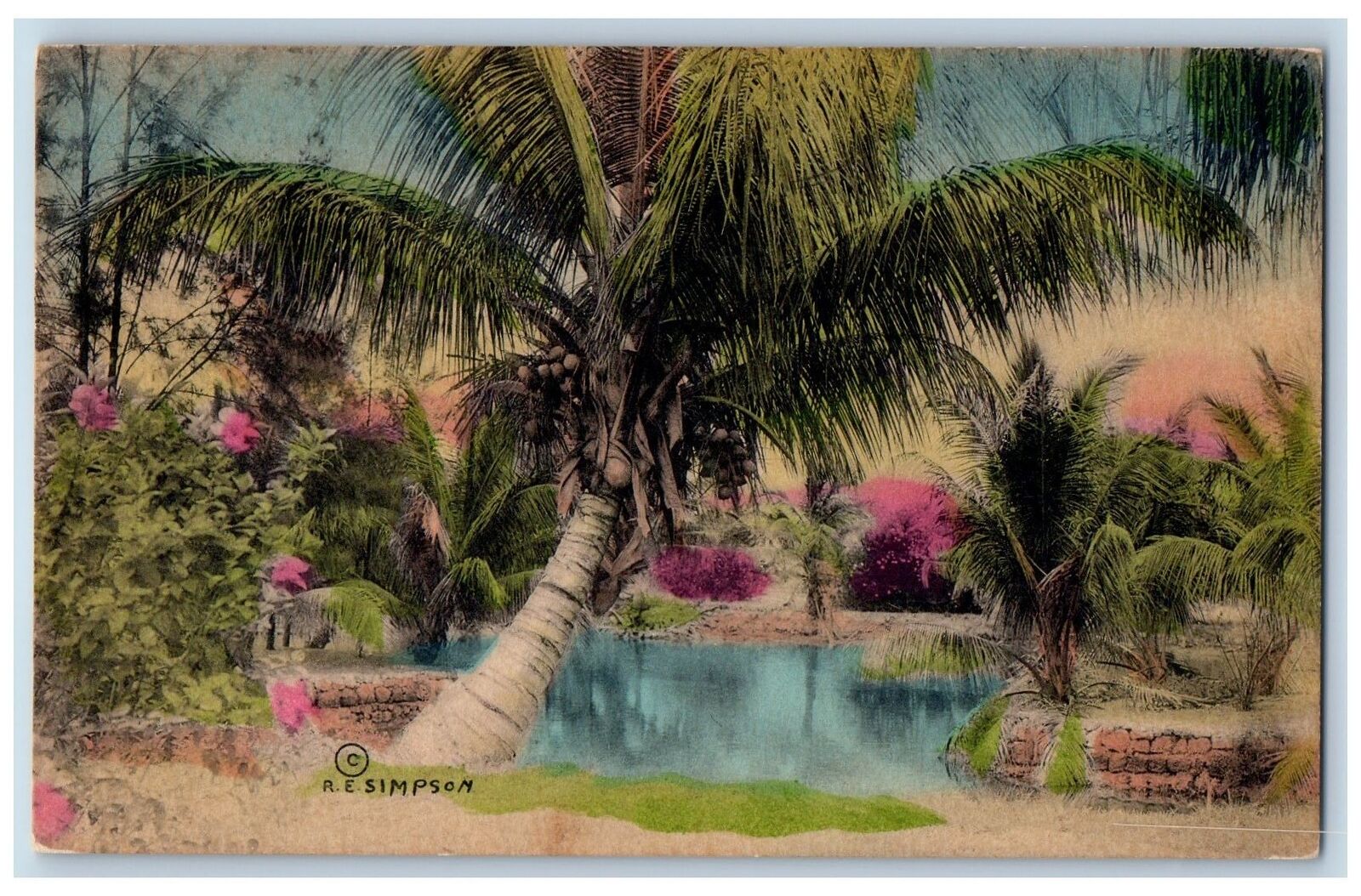 Miami Florida Postcard Scenic View Of Coconut Tree Pond 1936 Vintage Handcolored